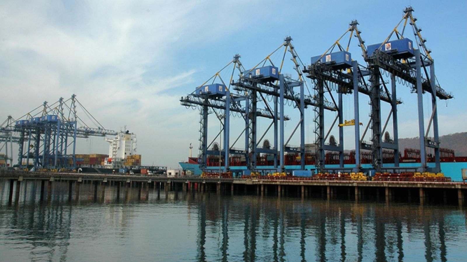 Gate activity returns to normal at DP World's Nhava Sheva Terminal